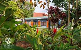 Rio Celeste Dreams